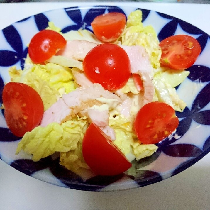 白菜とサラダチキンのサラダ